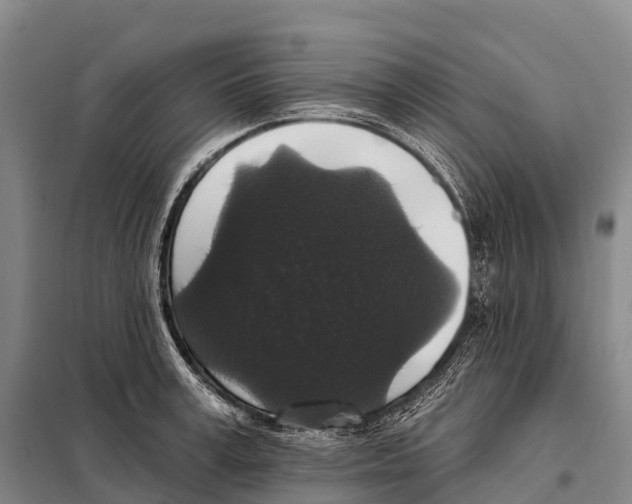 X0000098010995200804251110