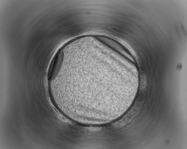 X0000098010996200804251110