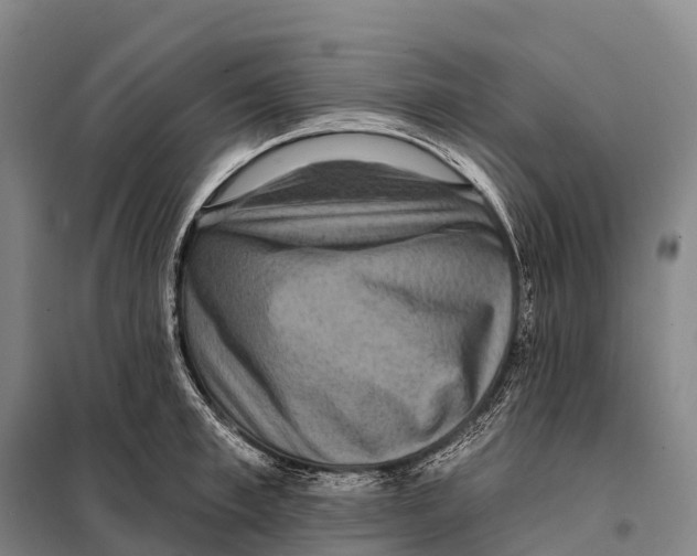 X0000098010997200804251110