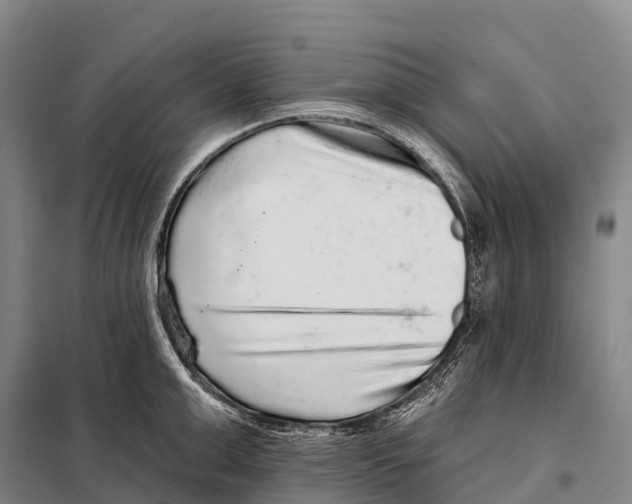 X0000098010999200804251110