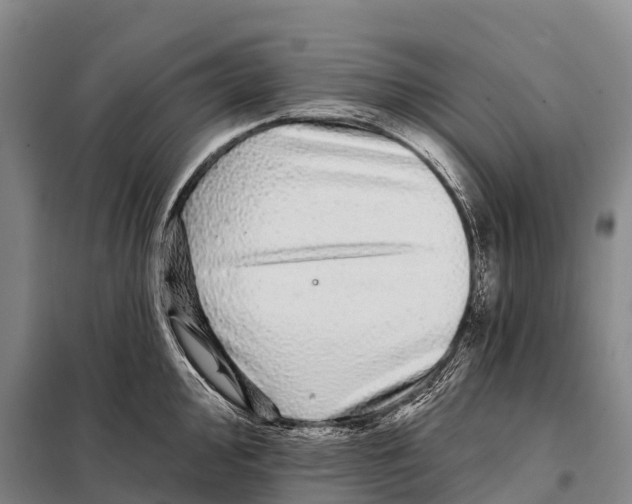 X0000098011000200804251110