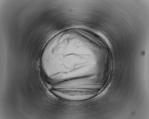 X0000098011001200804251110