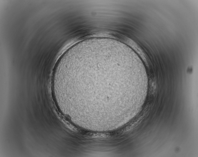 X0000098011002200804251110