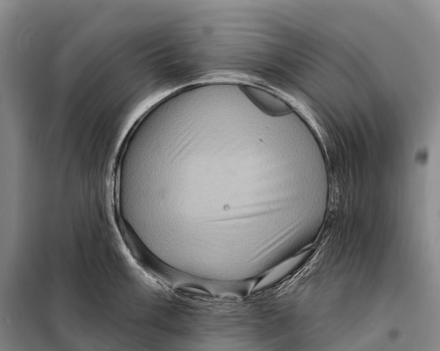 X0000098011003200804251110