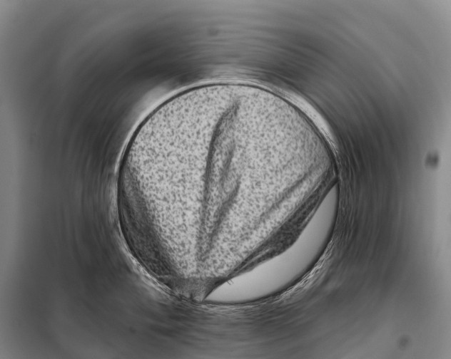 X0000098011004200804251110