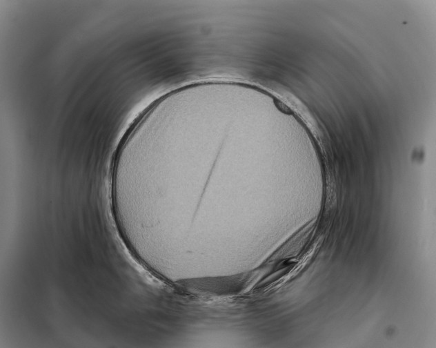 X0000098011006200804251110