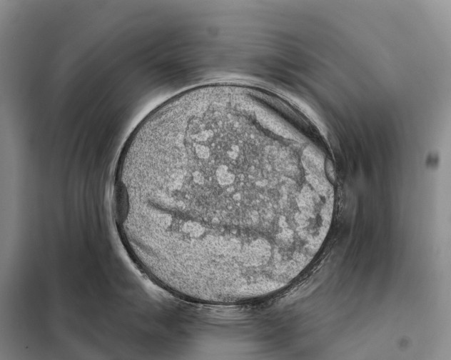 X0000098011007200804251110