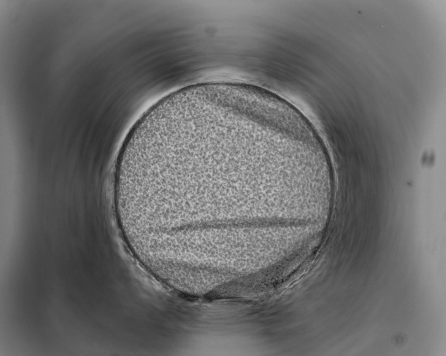 X0000098011008200804251110