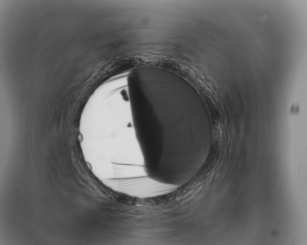 X0000098011009200804251109