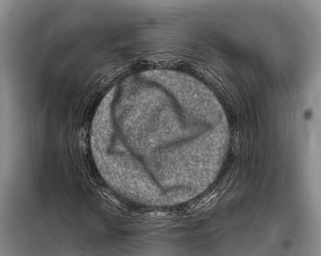 X0000098011010200804251109