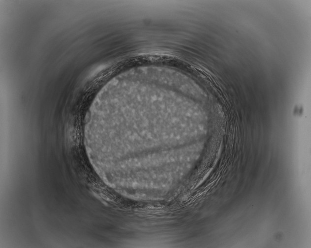 X0000098011014200804251109