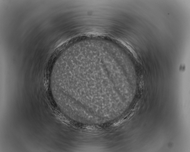 X0000098011015200804251109