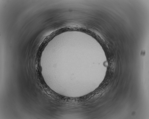 X0000098011016200804251109