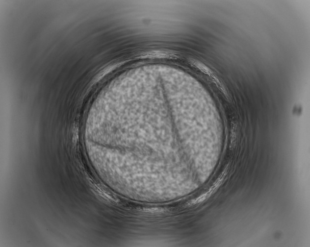 X0000098011017200804251109