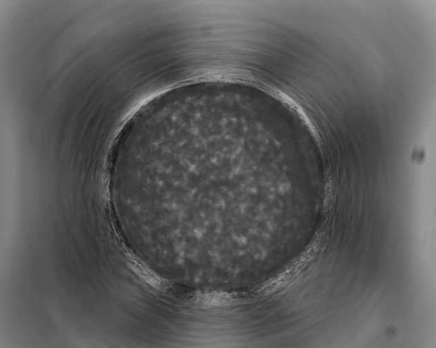 X0000098011019200804251109