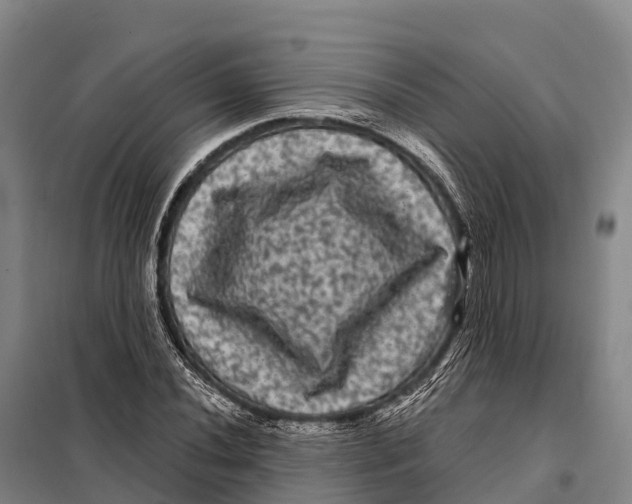 X0000098011020200804251109