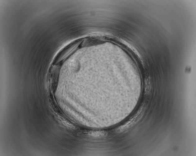 X0000098011021200804251109