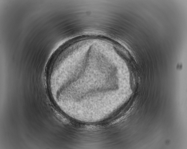 X0000098011022200804251109