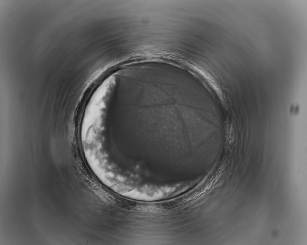 X0000098011023200804251109