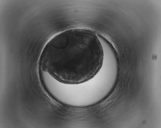 X0000098011024200804251110