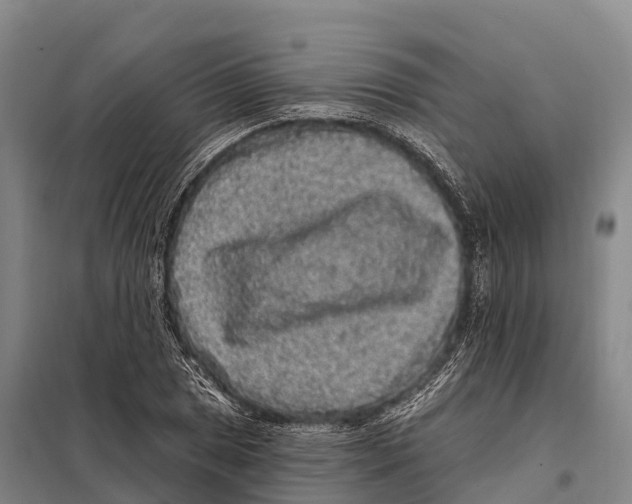 X0000098011025200804251110