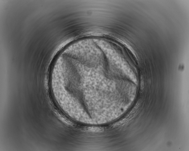 X0000098011026200804251110