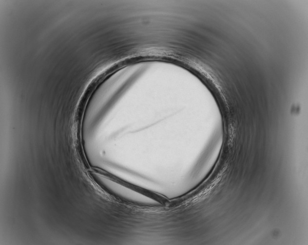 X0000098011029200804251110