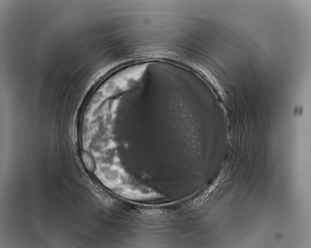 X0000098011031200804251110