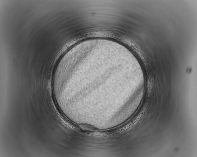 X0000098011033200804251110