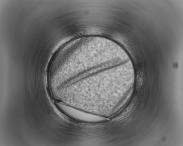 X0000098011034200804251110