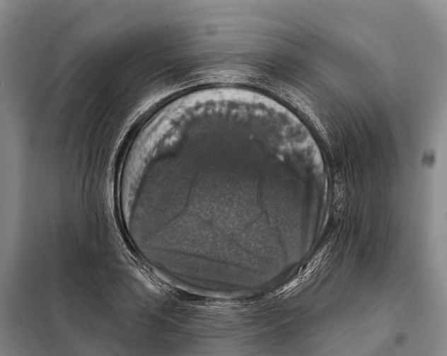 X0000098011035200804251110