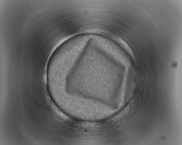 X0000098011036200804251110