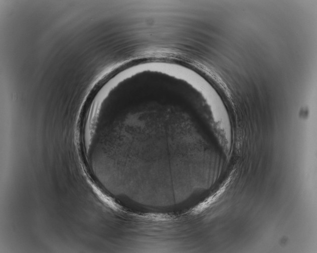 X0000098011037200804251110