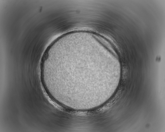 X0000098011038200804251110