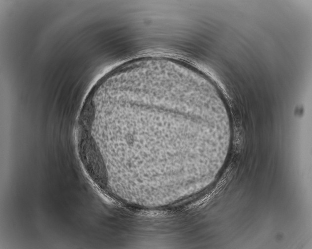 X0000098011040200804251110