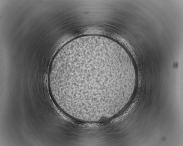 X0000098011041200804251110