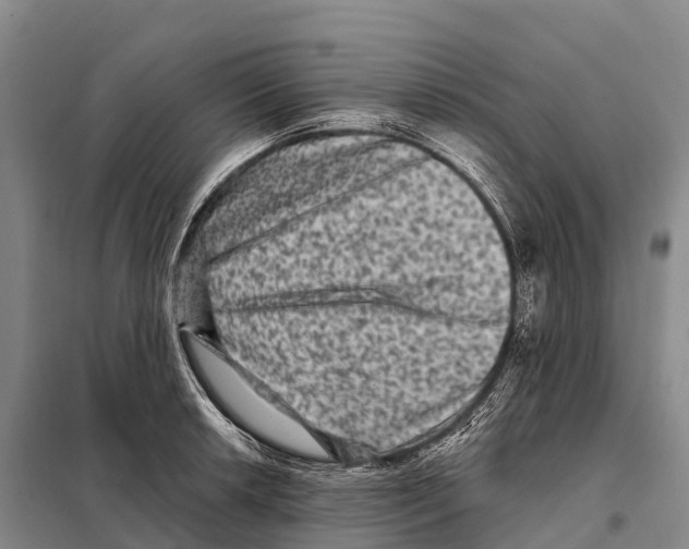 X0000098011042200804251110