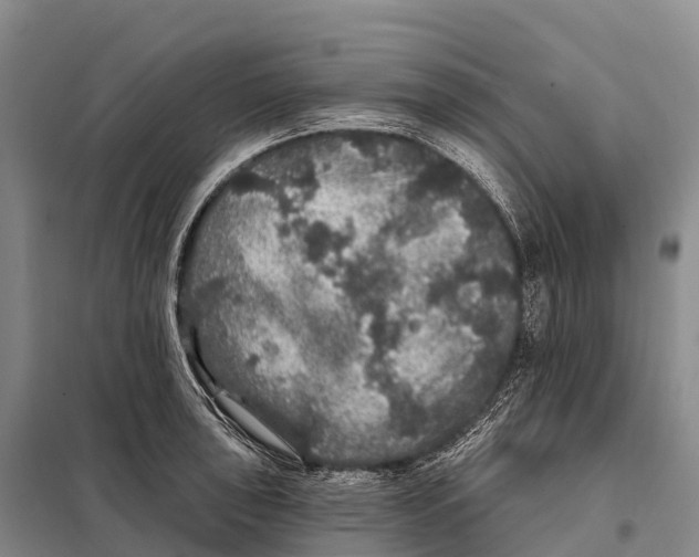 X0000098011043200804251110