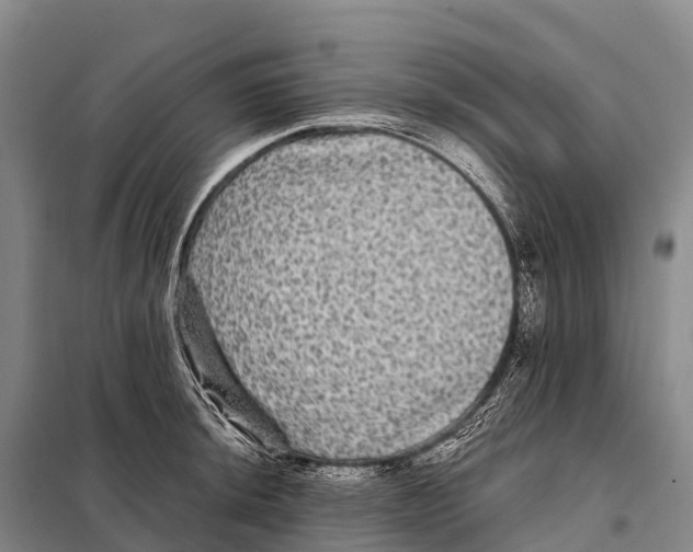 X0000098011044200804251110