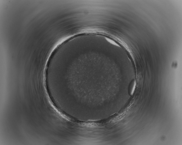 X0000098011045200804251110