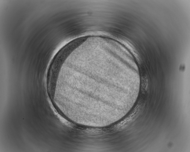 X0000098011046200804251110