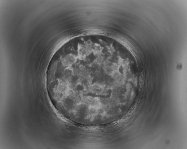 X0000098011047200804251110