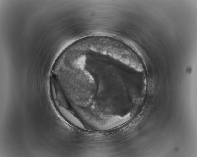 X0000098011048200804251110