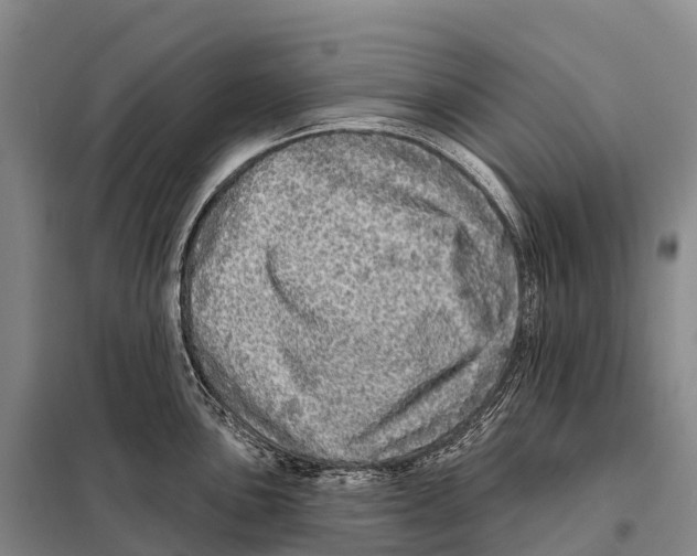 X0000098011051200804251110