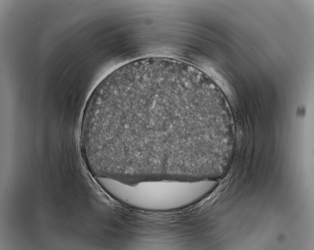 X0000098011052200804251110