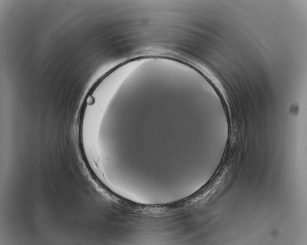 X0000098011053200804251110