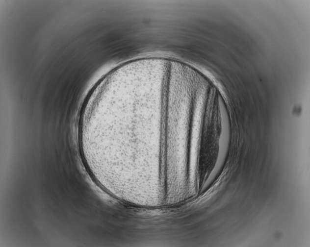 X0000098011054200804251110