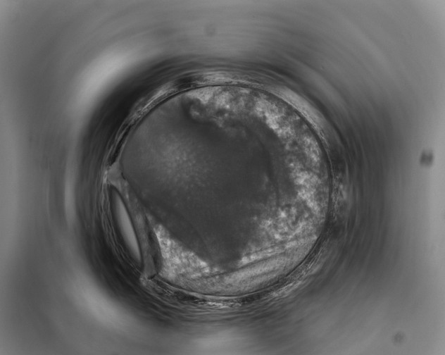 X0000098011055200804251110