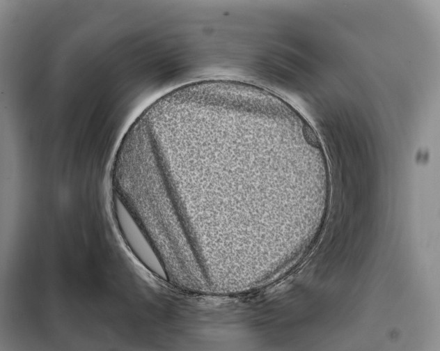 X0000098011056200804251110