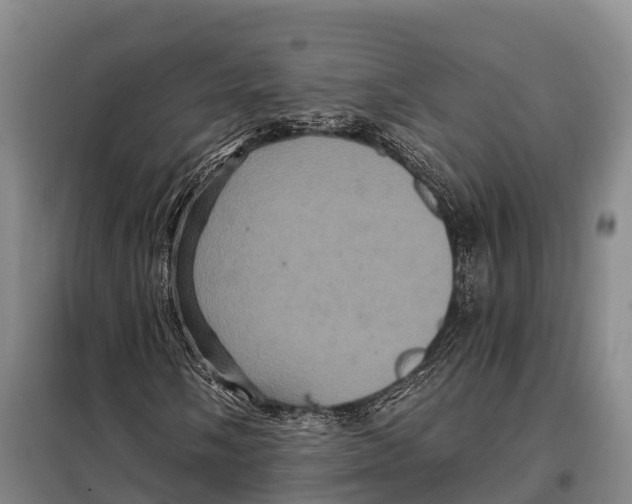 X0000098011058200804251109